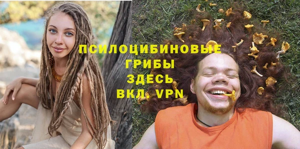 таблы Снежногорск