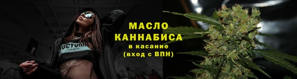 сатива Арсеньев