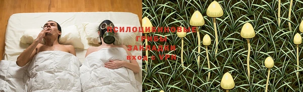 тгк Аркадак