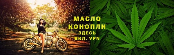 сатива Арсеньев