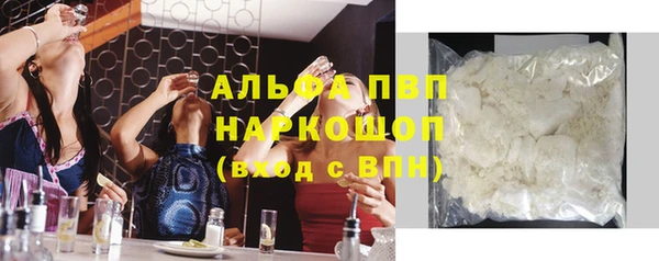 сатива Арсеньев