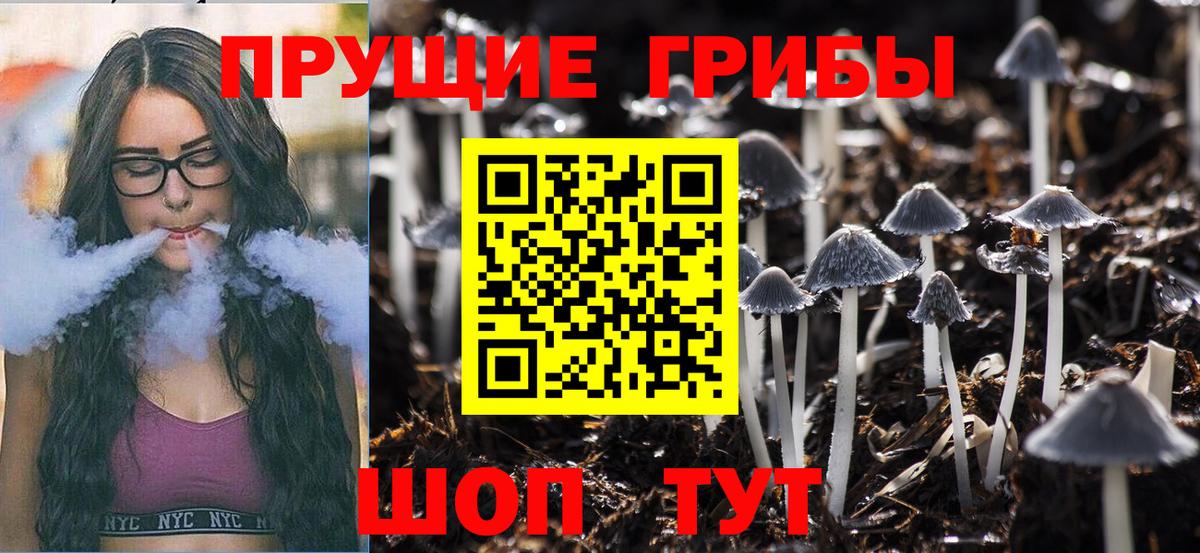 Псилоцибиновые грибы MAGIC MUSHROOMS  Вход с VPN  Сатка 