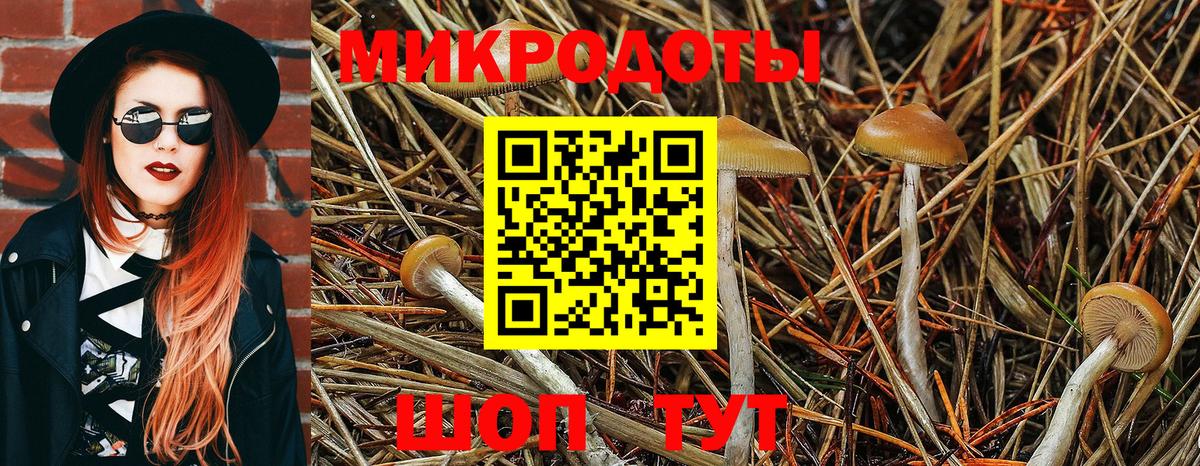 Псилоцибиновые грибы прущие грибы Сатка